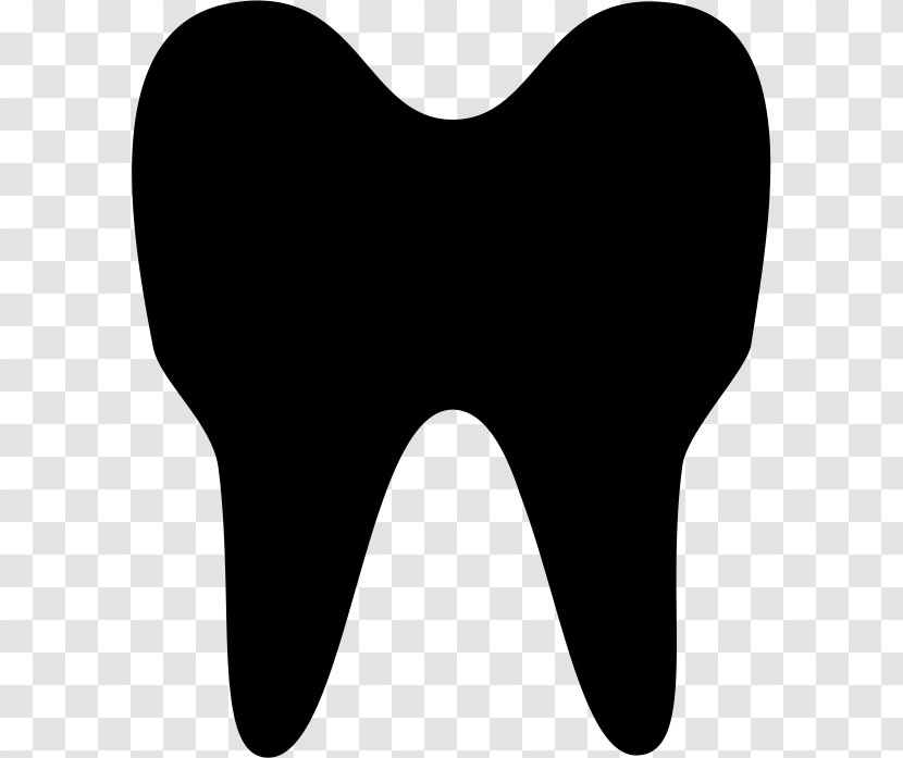 Dentistry Human Tooth Clip Art - Frame - Tree Transparent PNG