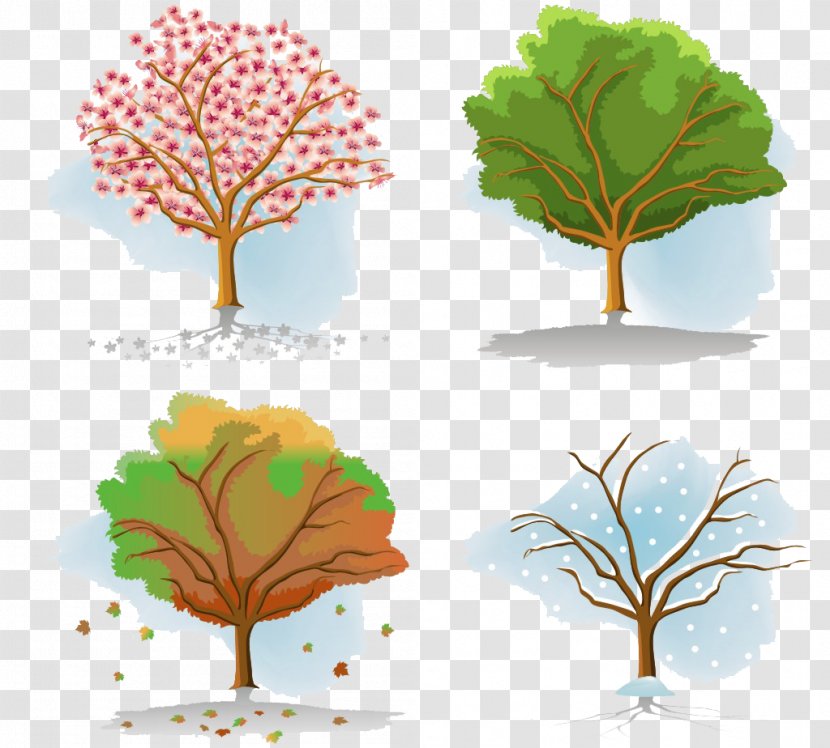 Tree Season Autumn - Forest - Four Seasons Children Transparent PNG