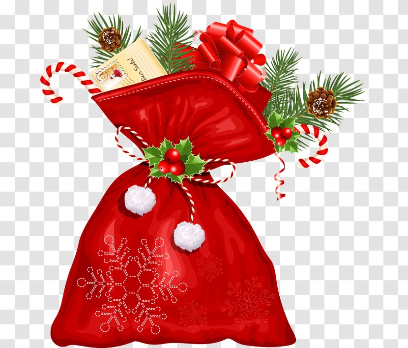 Christmas Decoration - Holiday Ornament - Conifer Pine Transparent PNG