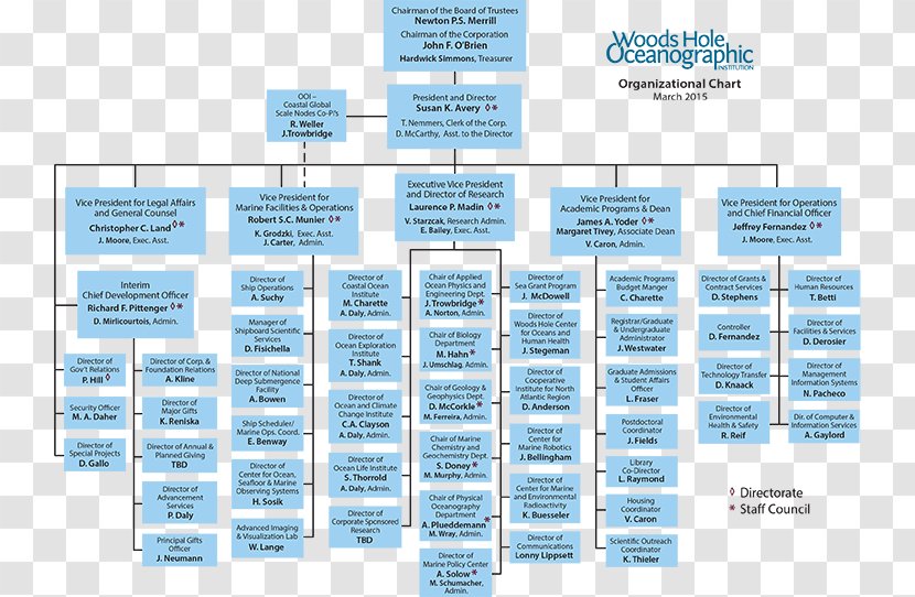 Organizational Chart Non-profit Organisation Structure Business - Information - Organization Transparent PNG