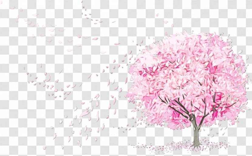 Cherry Blossom - Pink - Petal Tree Transparent PNG