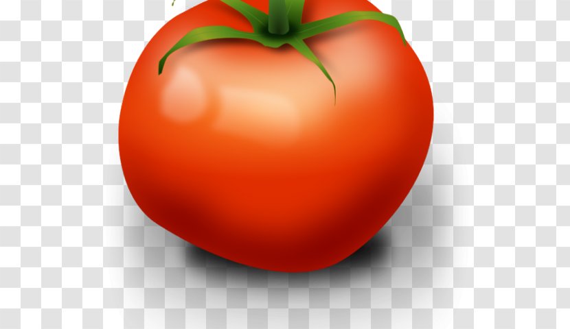 Plum Tomato Clip Art Vegetable Image - Tree Transparent PNG