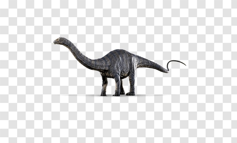 Jurassic World Evolution Dinosaur Park Apatosaurus Brontosaurus Diplodocus - Velociraptor Transparent PNG