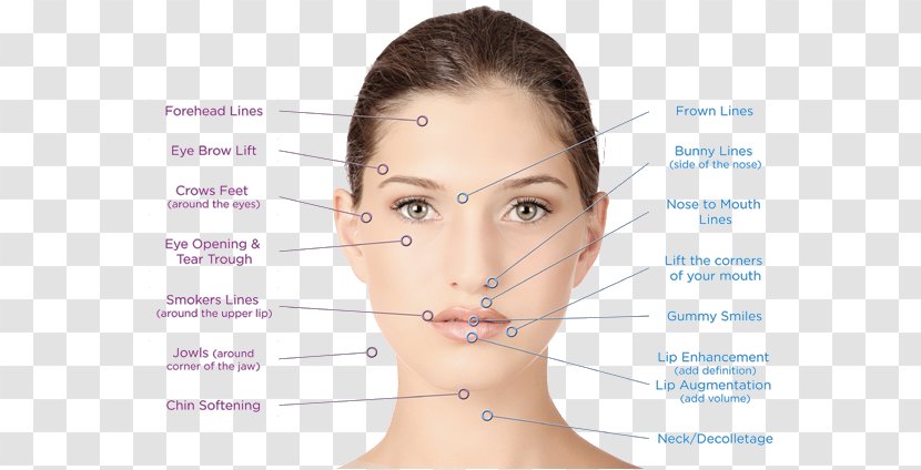 Facial Surgery Aesthetics Rhytidectomy Aesthetic Medicine - Jaw - Cosmetics Transparent PNG