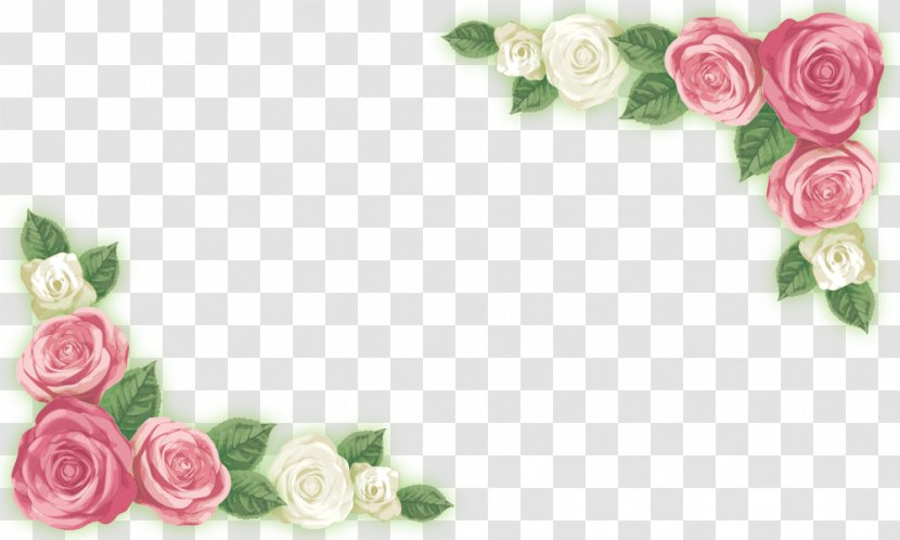 Adobe Illustrator Garden Roses - Rose - Corner Flower Material Transparent PNG