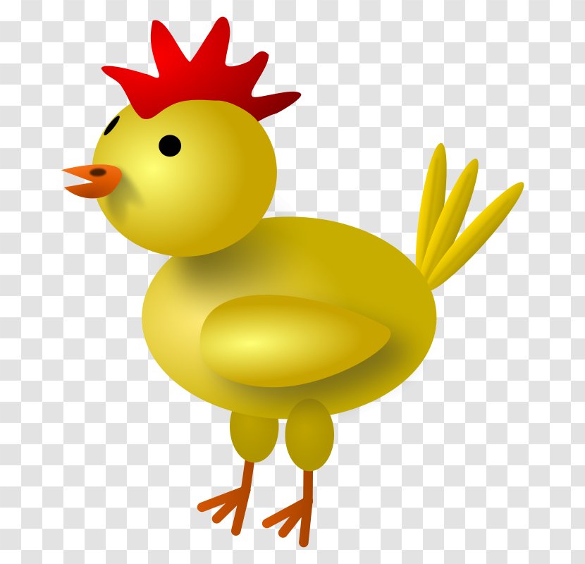 Yellow-hair Chicken Rooster Clip Art - Poultry - Picture Of Baby Chick Transparent PNG
