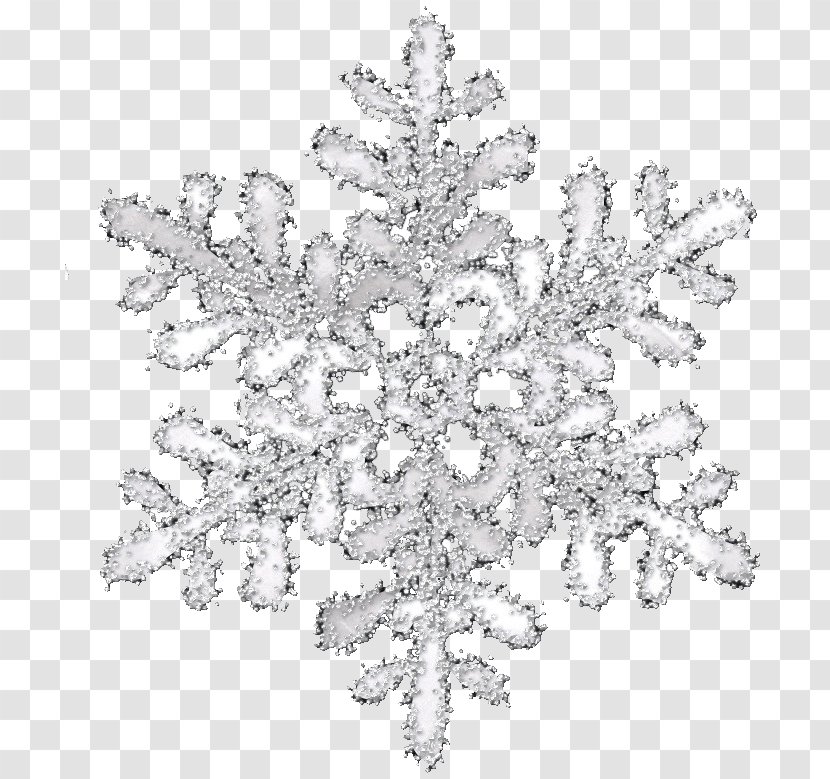 Snowflake Transparency And Translucency Icon - Black White - Transparent Pattern Transparent PNG
