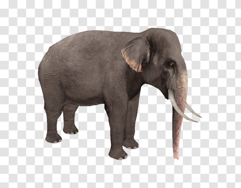 Zoo Tycoon 2 Asian Elephant African Bush Forest - Elephants Transparent PNG