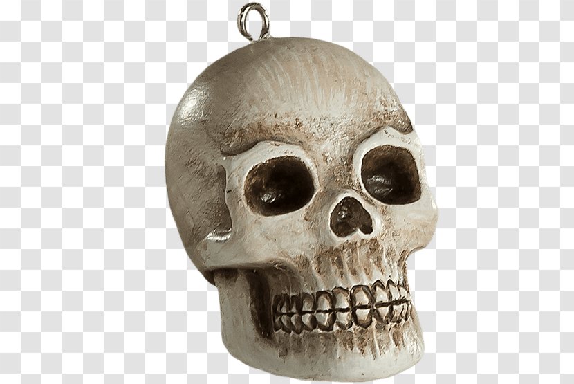 Skull Human Skeleton Christmas Horror - Jaw Transparent PNG