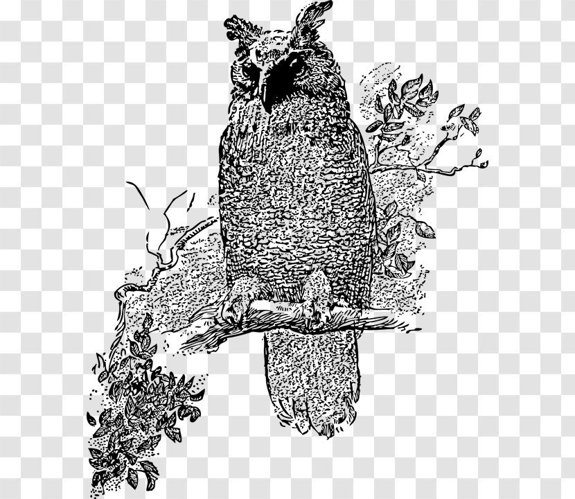Great Horned Owl Bird Clip Art Transparent PNG