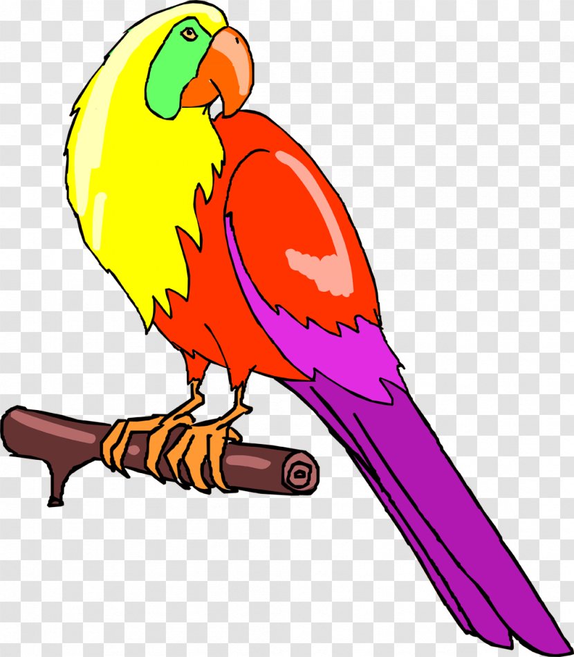 Bird Parrot Parakeet Macaw Feather - Animal - Parrots Transparent PNG