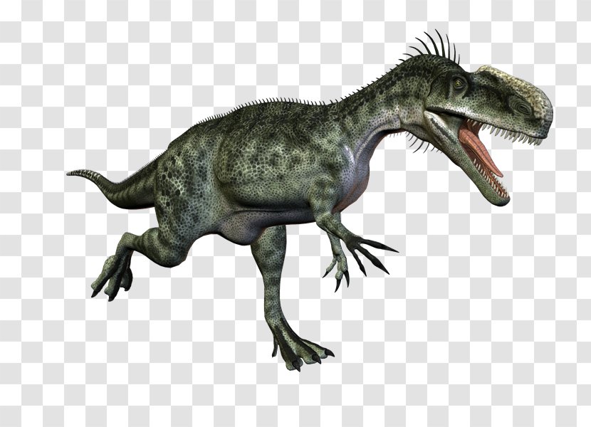 Tyrannosaurus Velociraptor Cryolophosaurus Monolophosaurus Concavenator - Fauna - Dinosaurs Transparent PNG