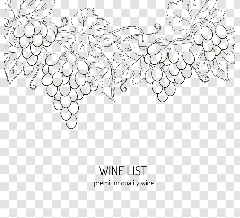 Wine Drawing Download Grape - Hand-painted Grapes Transparent PNG