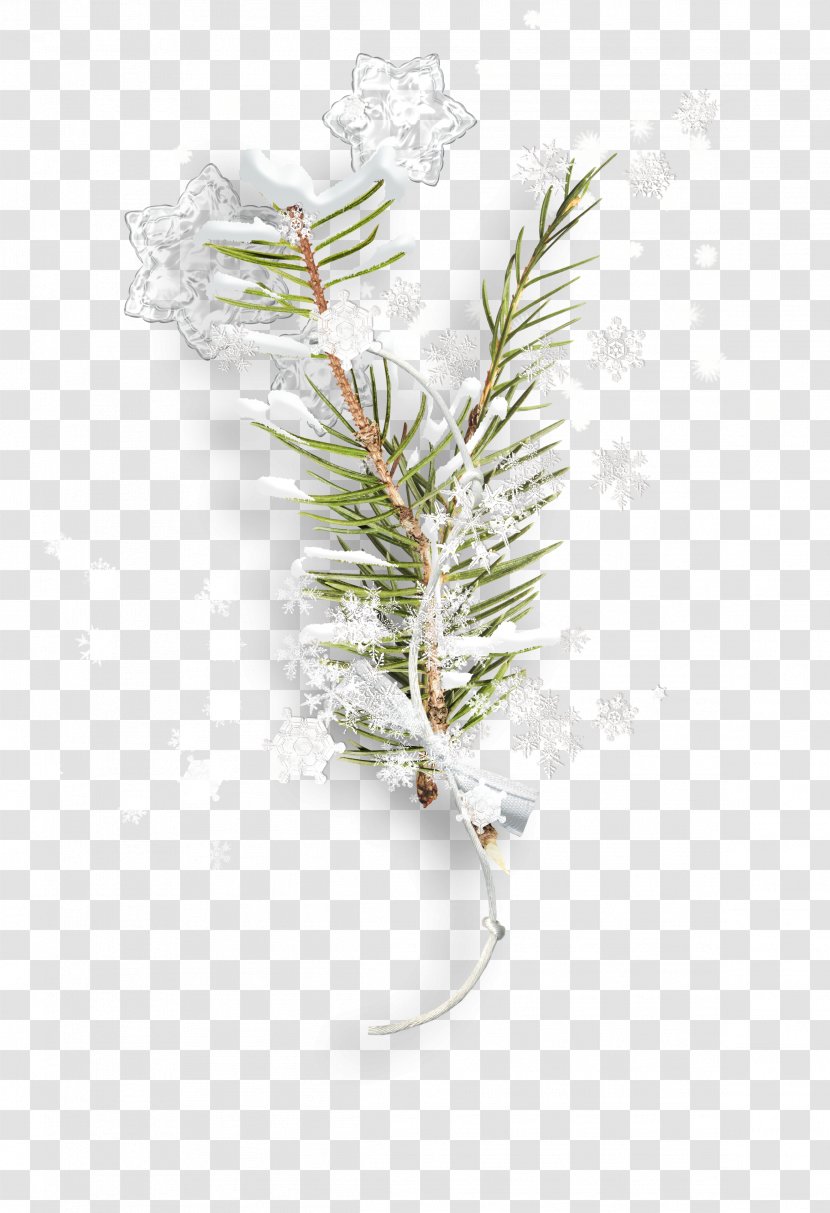 Twig Branch Snowflake Leaf - Monastery - Foliage Transparent PNG
