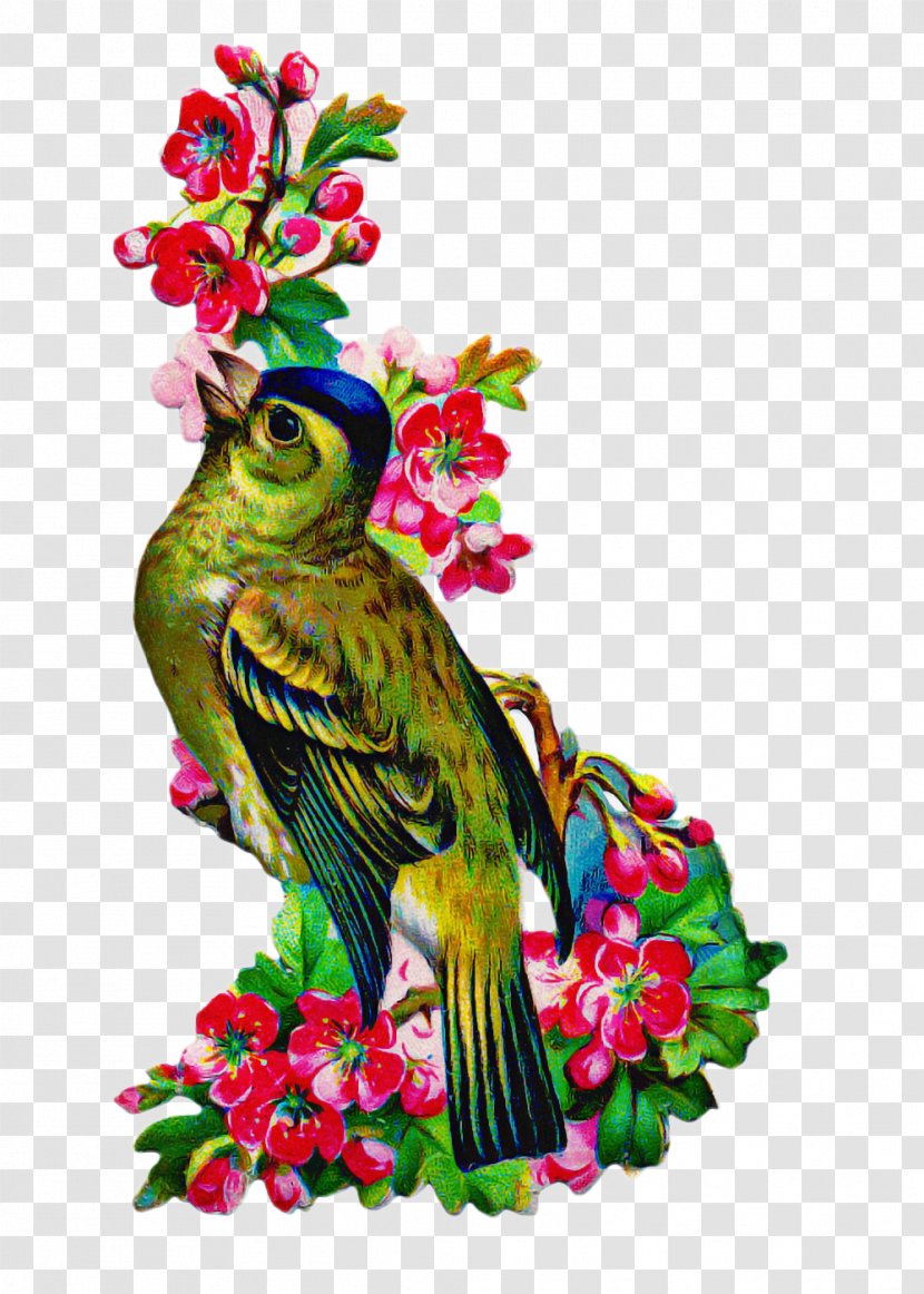 Floral Flower Background - Plant - Beak Lovebird Transparent PNG
