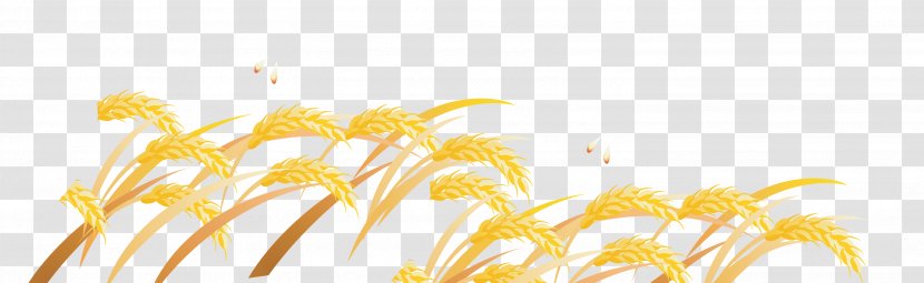 Yellow Petal Font - Wheat Transparent PNG