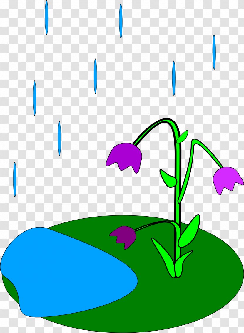 Flower Cartoon Clip Art - Flora - Rain Transparent PNG