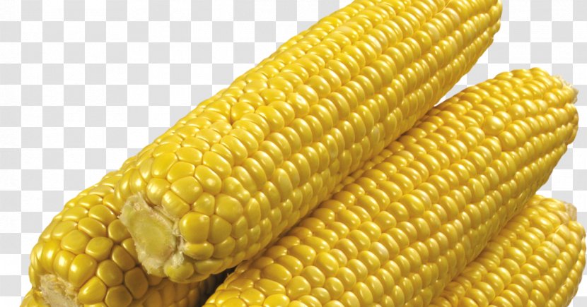 Corn On The Cob Candy Flint Sweet Corncob - Field Transparent PNG