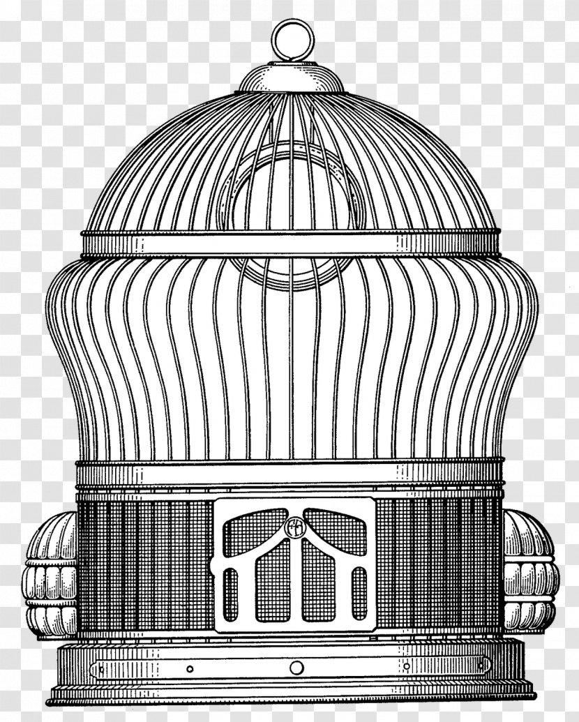 Steampunk Drawing Birdcage - Craft - Bird Cage Transparent PNG