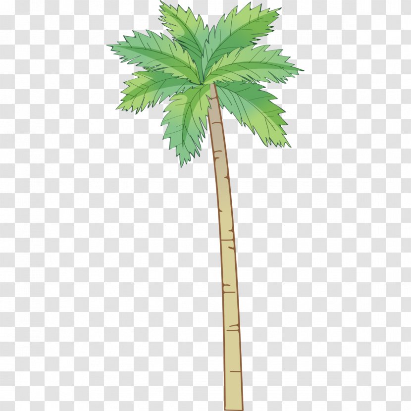 Arecaceae Coconut Tree - Palm - Hand-painted Pattern Transparent PNG