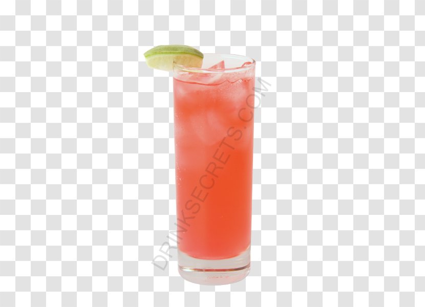 Bay Breeze Cocktail Garnish Piña Colada Singapore Sling - Flower - PINA COLADA Transparent PNG