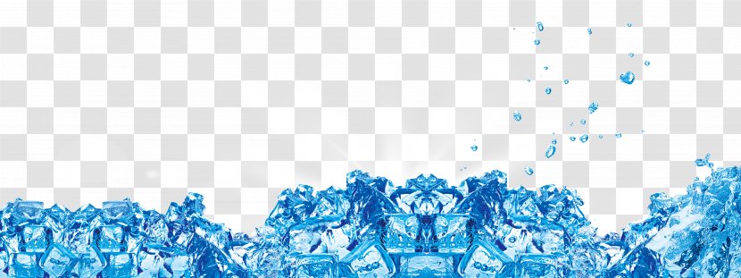 Beer Ice Water Poster - Tree Transparent PNG