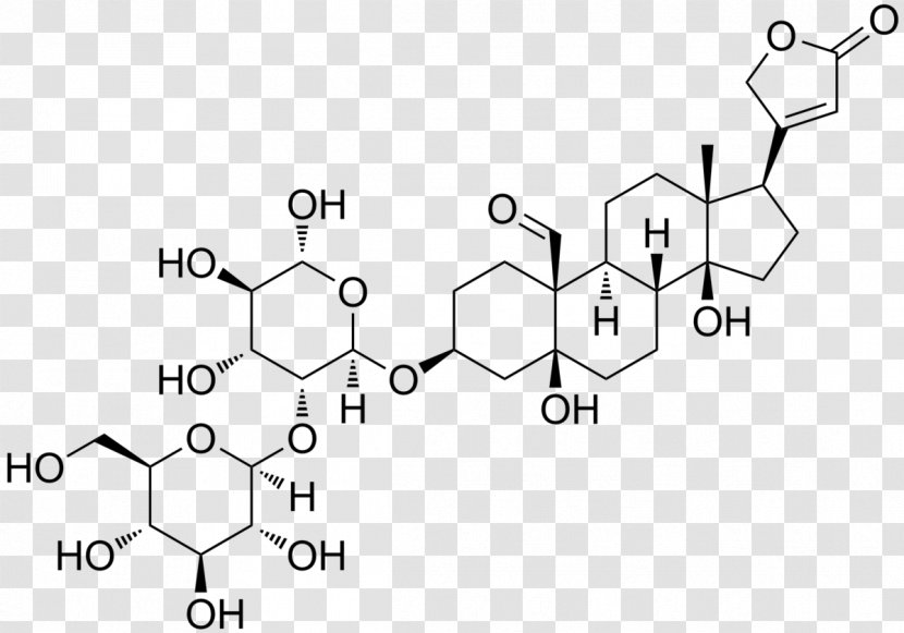 Antiarin Lady's Glove Cardiac Glycoside Cymarin - Flower - Convallaria Transparent PNG