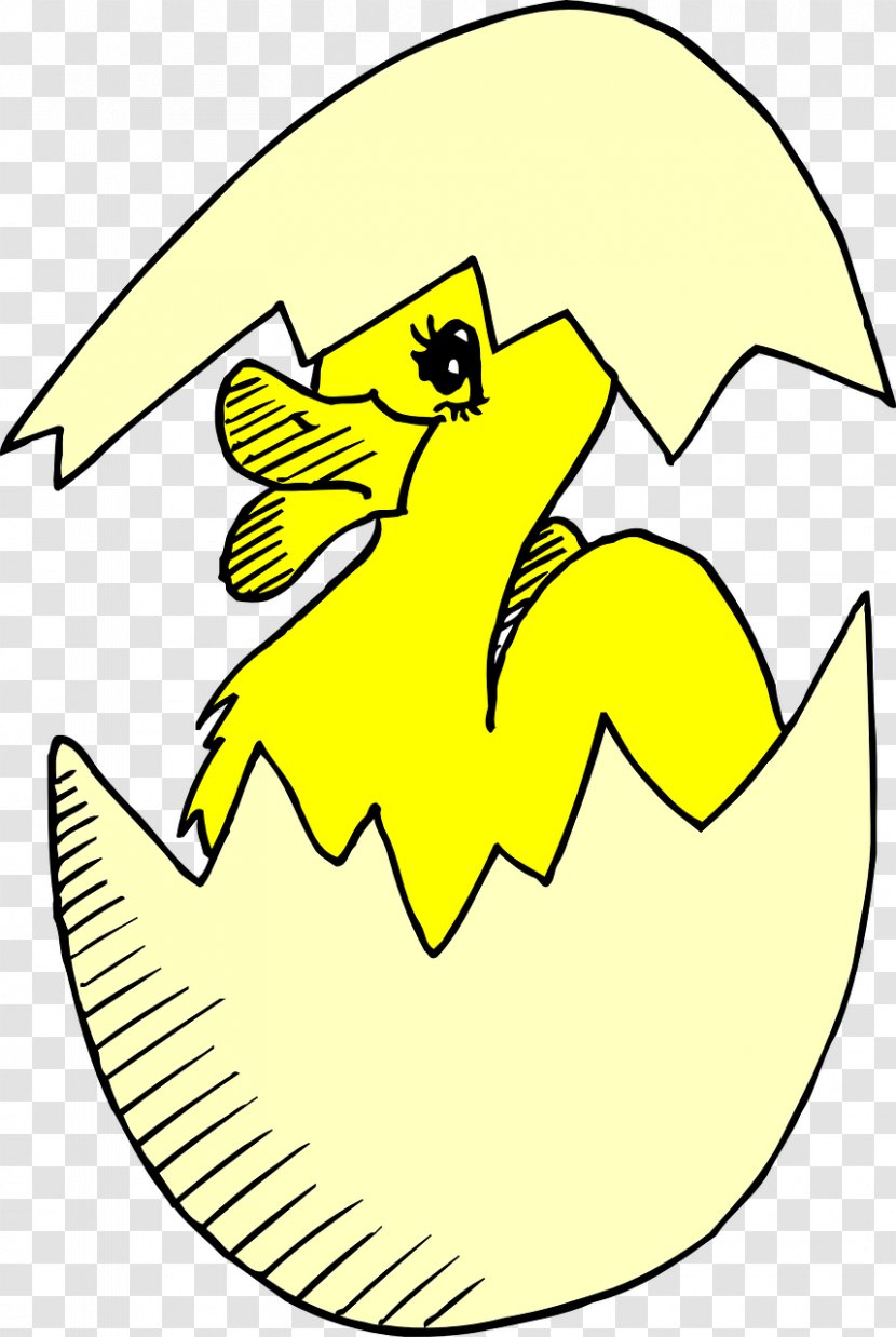 Hatching Clip Art - Cartoon - Duck Transparent PNG