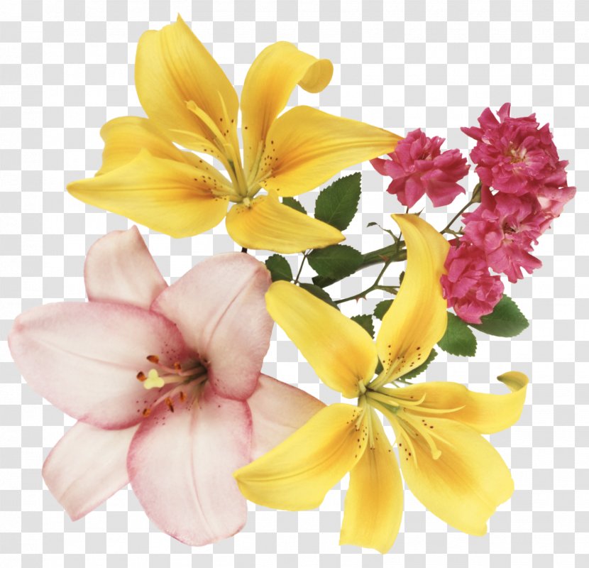 Festival Of The Flowers - Flower - FLORES Transparent PNG