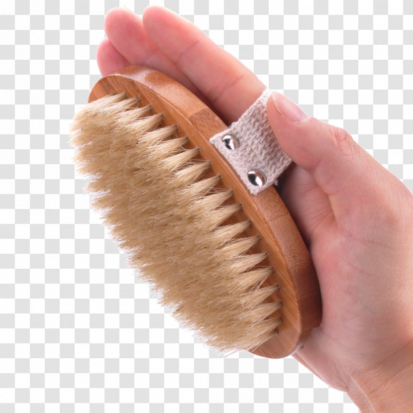 Bathing Comb Brush Borste - Bath Tools Transparent PNG