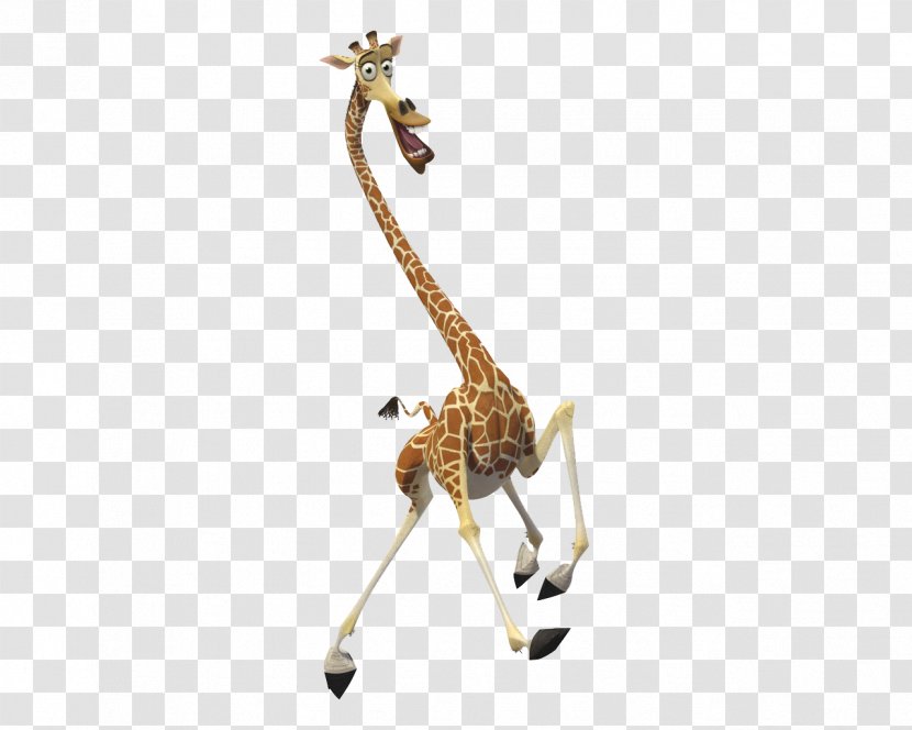 Melman Gloria Alex Madagascar DreamWorks Animation - Film - Neck Transparent PNG