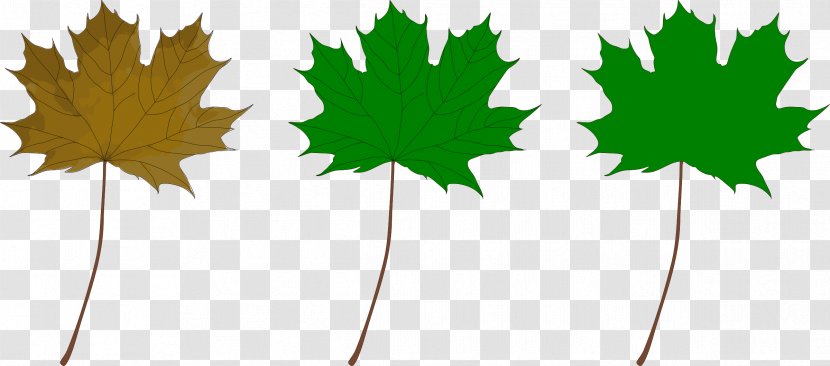 Red Maple Leaf Green Clip Art - Leaves Transparent PNG