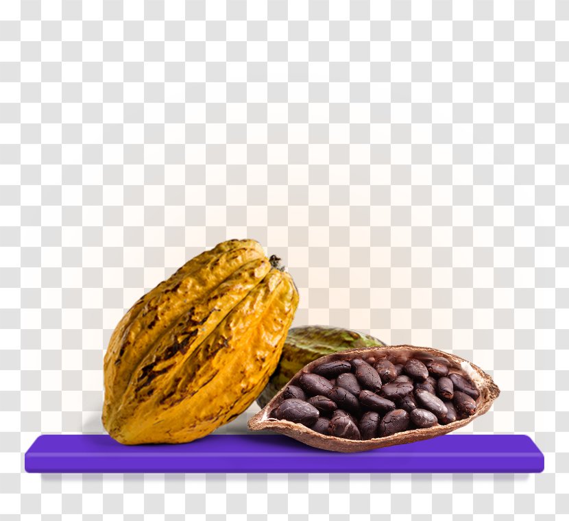 Cocoa Bean Vegetarian Cuisine Chocolate Theobroma Cacao - Tree Nuts Transparent PNG
