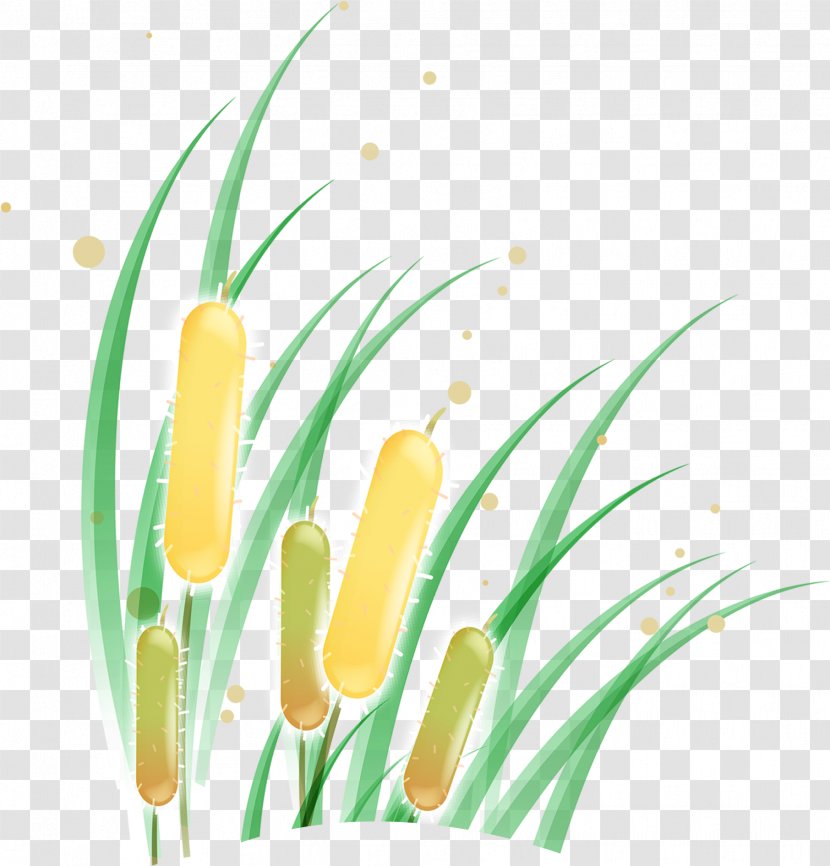 Summer Designer Download - Petal - Fresh Flowers Grass Transparent PNG