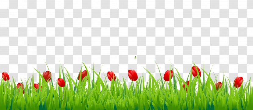 Image Editing PicsArt Photo Studio Clip Art - Flower - Grass Transparent PNG