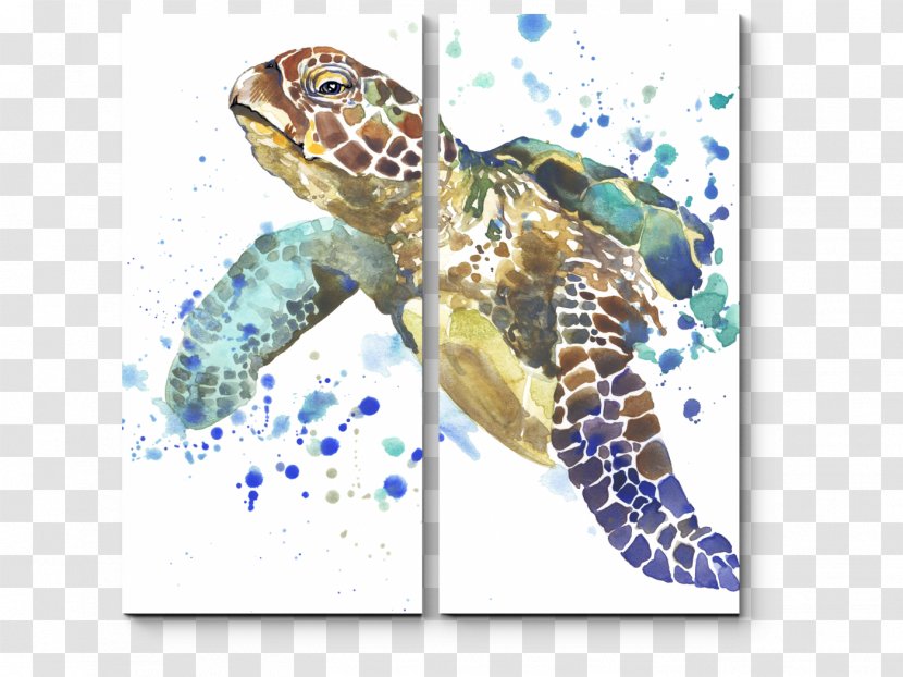 Sea Turtles (Under The Watercolor Painting - Loggerhead Turtle Transparent PNG