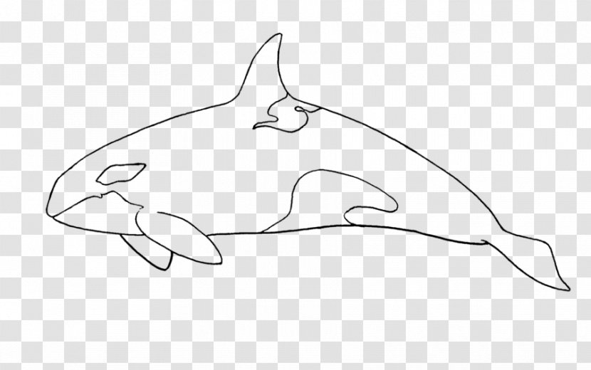 Dolphin Sketch Product Design Porpoise - Watercolor Transparent PNG
