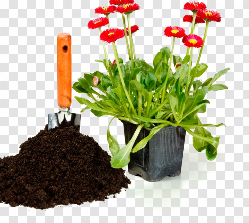 Flowerpot Window Box Potting Soil Stock Photography - Herb - Flower Transparent PNG