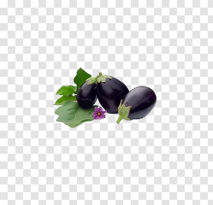 Eggplant Food Eating Vegetable Nutrition - Petal - Vegetables Transparent PNG