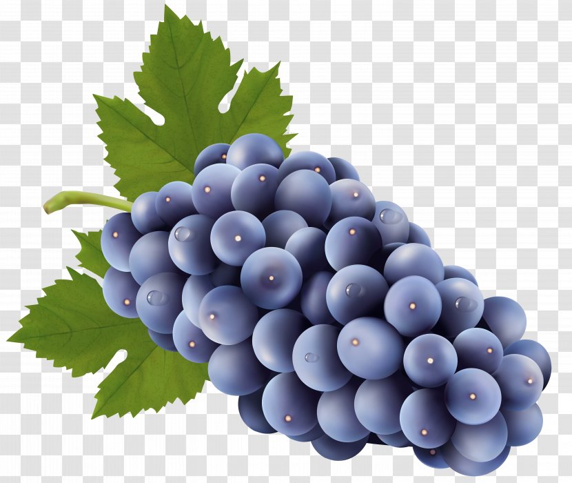 Sultana Grape Clip Art - Produce - Grapes Free Image Transparent PNG