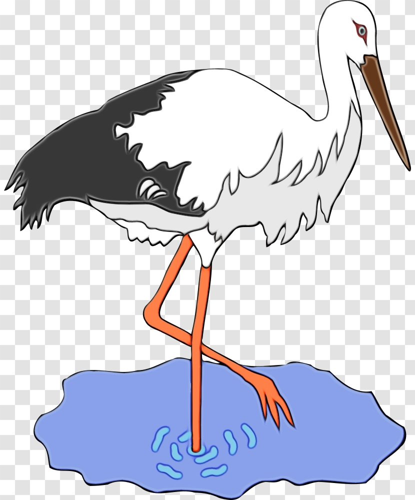 Bird Stork Beak White Crane-like - Little Blue Heron - Wildlife Transparent PNG