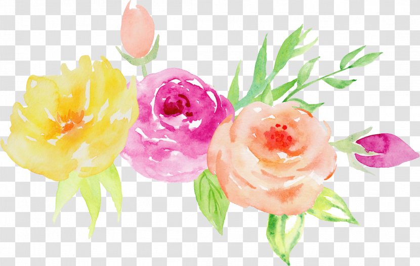 Garden Roses Watercolor Painting Floral Design Flower Illustration - Rose - Hand-painted Decorative Elements Transparent PNG