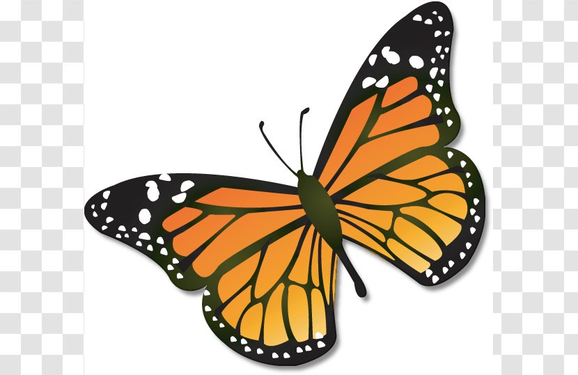 Monarch Butterfly Clip Art - Animal Migration Cliparts Transparent PNG
