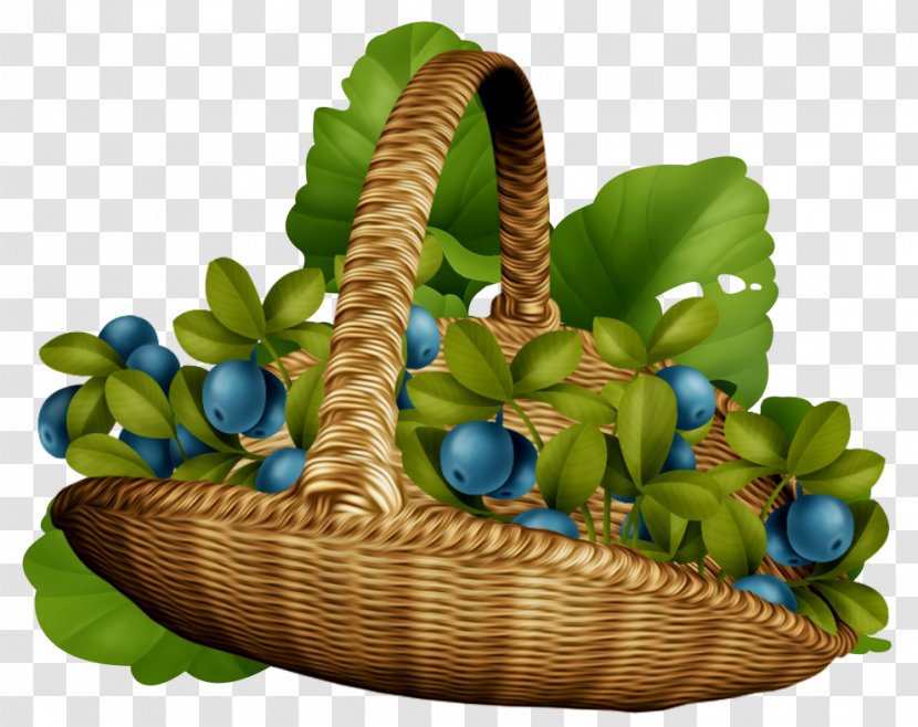 Basket Plant - Flowerpot Transparent PNG