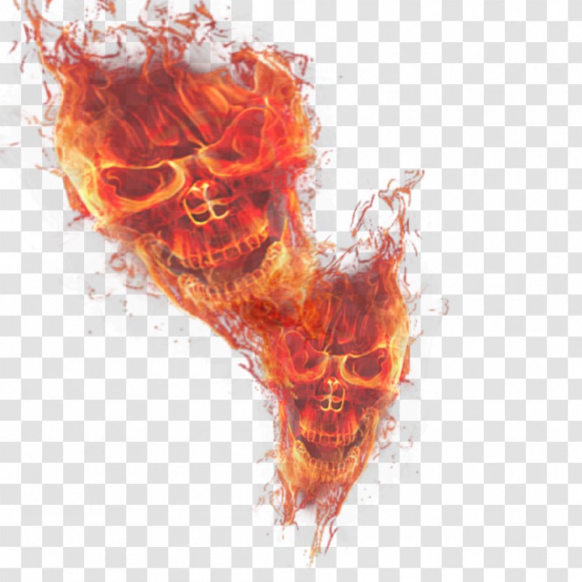 Light Fire Skull Flame - Flower Transparent PNG
