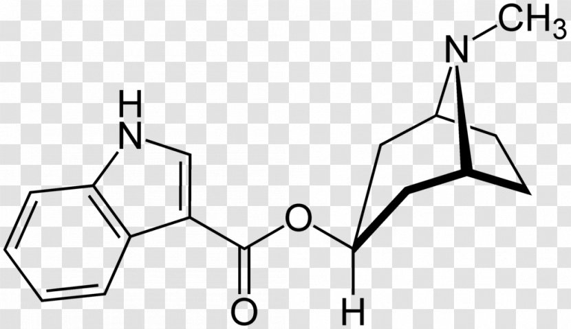 Tropisetron Nootropic Pharmaceutical Drug Methylhexanamine - Triangle - Disease Transparent PNG