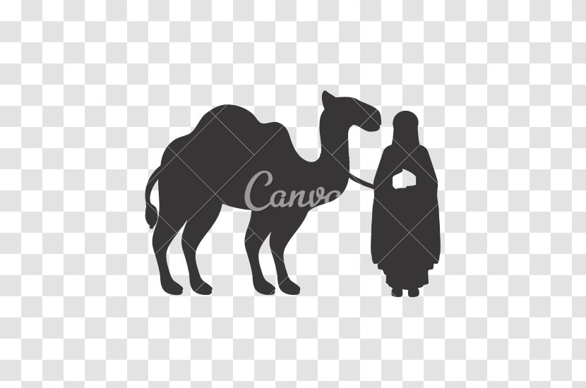 Dromedary Drawing Silhouette - Snout - Wise Man Transparent PNG