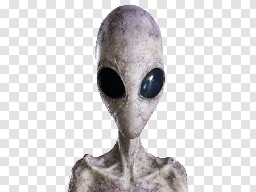 Grey Alien Extraterrestrial Life - Head - Transparent Transparent PNG