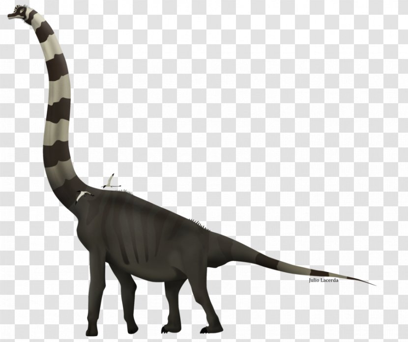 Giraffatitan Velociraptor Sauroposeidon Venenosaurus Brachiosaurus - Wildlife - Dinosaur Transparent PNG