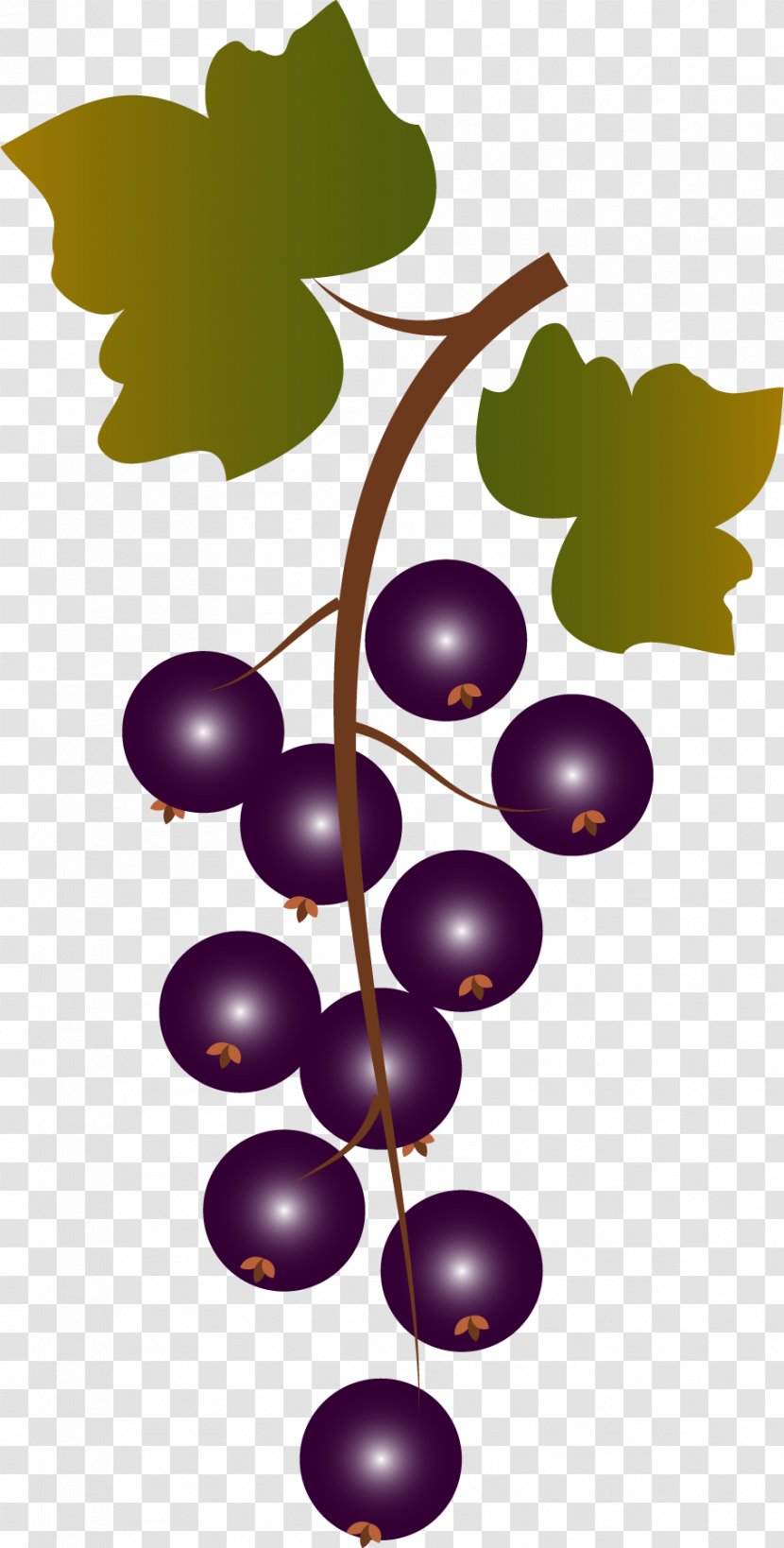 Grape Fruit Purple - Gratis - A Bunch Of Grapes Transparent PNG